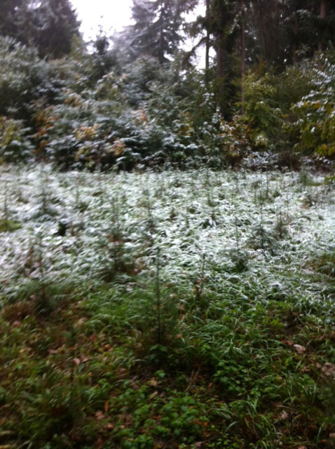 2015 schnee im Oktober